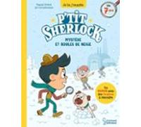 Mystères Et Boules De Neige (ebook)
