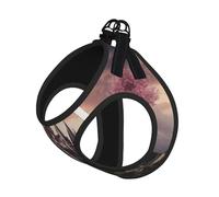 Mysterious Fantasy Fairy Tale Castle Print - Arnés reflectante ajustable para gatos, perros y mascotas pequeñas, chaleco de malla transpirable suave con correa a prueba de fugas