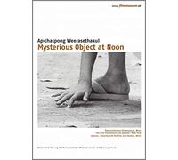 Mysterious Object At Noon