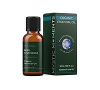 Mystic Moments | Momentos místicos | Aceite Esencial Orgánico de Albahaca (Chavicol) - 50ml - 100% Puro