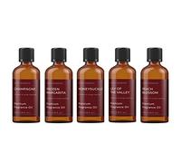 Mystic Moments | Paquete de Inicio de Regalo de 5 aceites fragantes Hers