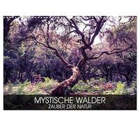 Mystische Wälder - Zauber der Natur (Wandkalender 2026 DIN A3 quer), CALVENDO Monatskalender: Magische Vielfalt der Natur - Wälder, schön und mystisch