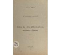 Mythologie Gauloise : Statue Du Dieu À Lhippophore Découverte À Nesche