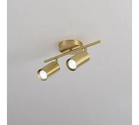 MYUYEE Faretto Da Soffitto In Ottone, Lampada D'Accento A Superficie, Semplici Apparecchi Di Illuminazione A Soffitto In Ottone, Faretti Direzionali In Rame per Il Soggiorn(2 Luci)