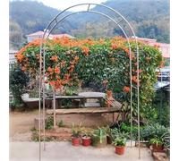 MYUYEE Pérgola De Jardín De Alta Resistencia con Estructura De Acero, Arco De Jardín Resistente A La Intemperie, Arcos para Rosas, Arco De Boda, Arco De Decoración Par(300 * 240 Cm)