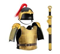 MZICXV Disfraz de guerrero de la dinastía for, casco y armadura de fénix, espada ancha y carcaj for disfraces y recreaciones históricas.(A)