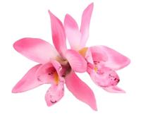 MZRAN Accesorios para el pelo de doble flor para niños y adultos, horquilla para el pelo de fiesta, adecuada para varias ocasiones de festivales