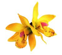 MZRAN Accesorios para el pelo de doble flor para niños y adultos, horquilla para el pelo de fiesta, adecuada para varias ocasiones de festivales