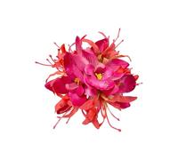 MZRAN Accesorios para el pelo de flores artificiales, accesorios florales para mujer, adecuados para bodas, fiestas y uso diario