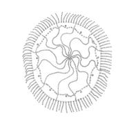 MZRAN Diadema para el cabello con diamantes de imitación para la frente para mujer, para boda, despedida de soltera, diadema brillante con flecos