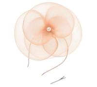 MZRAN Tocado de malla sofisticado, elegante diadema, multiusos, para bodas y fiestas temáticas, sombrero de moda para mujer, Color de los dientes de nieve, Talla única