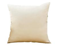 MZSKLW Fundas Cojines Sofa Funda de Almohada Terciopelo Suave, 2 uds., 45x45cm, Funda Simple, decoración for Sala Estar(Color1)