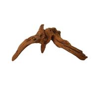 MZYFDC Madera Flotante para Acuario Decoración de Acuario con Tronco de árbol, 1 Pieza, Obra de Arte de Madera, Adornos de paisajismo, decoración de Fondo de pecera con Musgo.(10-15cm)