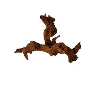 MZYFDC Madera Flotante para Acuario Decoración de Acuario con Tronco de árbol, 1 Pieza, Obra de Arte de Madera, Adornos de paisajismo, decoración de Fondo de pecera con Musgo.(15-20cm)