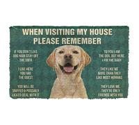 N/Ａ Felpudo Entrada casa Alfombra Salon Amazing Labrador Retriever al visitar mi casa Doormat Home Decor Decoracion Hogar