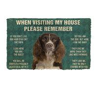 N/Ａ Felpudo Entrada casa Alfombra Salon Lovely English Springer Spaniel Dogs When Visiting My House Felpudo Decoración para el hogar Decoracion Hogar