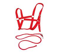 #N/A/a 2 Piezas Cabestro para Caballo con Rienda Nylon Protección Suave Arnés Ajustable Adecuado para Deportes Ecuestres Entrenamiento Paseo, Rojo
