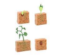 #N/A/a de Una Planta Verde: Desarrollo Realista Mediante Juguetes Educativos.