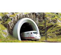 N Entrada Del Túnel De Hielo Busch 8194