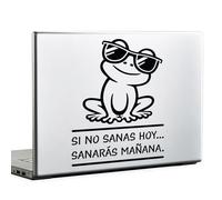 N.I.Edit.H - Adhesivo Frases y Palabras Motivadoras/Pegatina Inspiradora/Stickers Original para Regalo/Si No Sanas Hoy, Sanarás Mañana/Vinilo Rana Reflexión / 13.9 x 19.7 CM (Negro)