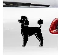 N.I.Edit.H - Pegatina Silueta Razas de Perro/Pastor Alemán, Caniche, Labrador, Golden R., Malinois, A. Stanford, Jack Russell, Bulldog Francés, Schnauzer, Teckel (Caniche)