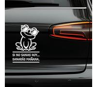 N.I.Edit.H - Vinilo adhesivo frases y palabras motivadoras/Pegatina inspiradora/Stickers original para regalo/SI NO SANAS HOY, SANARÁS MAÑANA (RANA, BLANCO)