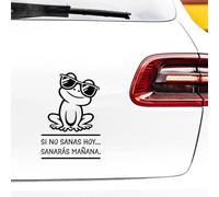 N.I.Edit.H - Vinilo adhesivo frases y palabras motivadoras/Pegatina inspiradora/Stickers original para regalo/SI NO SANAS HOY, SANARÁS MAÑANA (RANA, NEGRO)