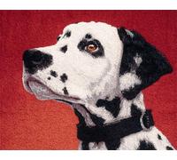 N.LANSHAN 11CT Animal Perro Kit De Punto De Cruz Con Estampado Retrato De Dálmata Kits De Patrones De Punto De Cruz,Juego De Bordado Impreso,Arte De Bordado Para La Decoración Del Hogar 30x40cm