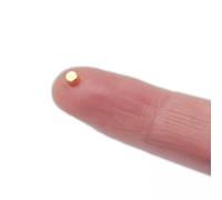 N42 Magnet de Neodimio Chapado en Oro Para Terapia Magnética Y Alivio Del Dolor - 3mm Dia x 2mm de Espesor - Paquete de 200