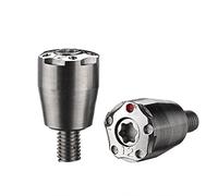 NA - 2 pesos de golf plateados para Taylormade Spider Tour Putter, R11 R11S R7 R9 R5 R1 Driver (2 x 12 g)