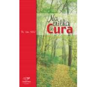 Na Trilha Da Cura (ebook)