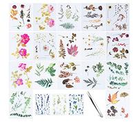 NA Woohome 20 Pz Resina Pegatinas de Hojas de Flores Prensadas Secas y Pinzas para Moldes de Resina de Silicona, Pegatinas Decorativas Transparentes para Artesanía de Resina