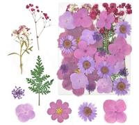 Naapesi 33 Piezas Flores Secas Prensadas, Kit de Hojas Secas de Flores, Flores Secas Naturales, Flores Secas Manualidades, Flores Secas Decoracion, Flores Secas Prensadas para Moldes de Resina