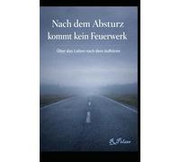 Nach dem Absturz kommt kein Feuerwerk: Über das Leben nach dem Aufhören