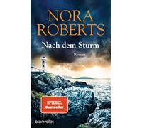Nach dem Sturm: Roman - Der Bestseller jetzt als Taschenbuch
