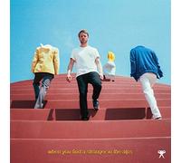 Nachtbraker - When You Find A Stranger In The Alps [Vinilo]