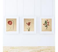 Nacnic - Pack 3 Posters Vintage Flores Rojas - Láminas Decorativas de Botánica y Naturaleza - Impresión de Arte e Ilustración para Decoración Collage