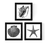Nacnic Pack de 3 láminas de Animales Marinos EN Blanco Y Negro. Tamaño 25x25