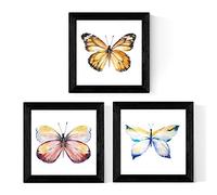 Nacnic Pack de 3 láminas de Mariposas. Tamaño 20x20