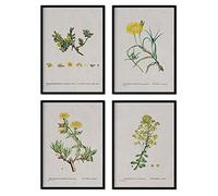 Nacnic Pack de láminas Flores amarillas. Pósters con ilustraciones en acuarela del artista francés Pierre-Joseph Redouté. Decoración de interiores. Tamaño A4 con marco.