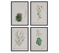 Nacnic Pack de láminas Flores blancas. Pósters con ilustraciones en acuarela del artista francés Pierre-Joseph Redouté. Decoración de interiores. Tamaño A3.