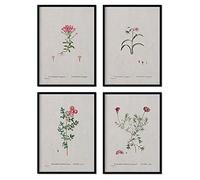 Nacnic Pack de láminas Flores rosas. Pósters con ilustraciones en acuarela del artista francés Pierre-Joseph Redouté. Decoración de interiores. Tamaño A3 con marco.