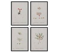 Nacnic Pack de láminas Plantas pequeñas. Pósters con ilustraciones en acuarela del artista francés Pierre-Joseph Redouté. Decoración de interiores. Tamaño A4.