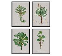 Nacnic Pack de láminas Suculentas. Pósters con ilustraciones en acuarela del artista francés Pierre-Joseph Redouté. Decoración de interiores. Tamaño A4.
