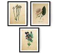 Nacnic - Pack Láminas Flores Infusión Vintage - Pósters Decorativos Estilo Naturaleza, Botánica y Plantas - Decoración Mural Elegante y Delicada