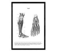Nacnic Poster Anatomia in Bianco e Nero con Immagini del Corpo Umano. Lame Sulla biologia e Medicina con Dettagli Gamba. Dimensione A3. con Marco.