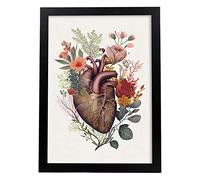 Nacnic Póster Anatómico de un Corazón sobre Fondo Blanco. Colorida ilustración de partes del cuerpo humano con flores, A3 Marco Negro