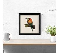 Nacnic Poster cuadrado con dibujos de pájaros. Lámina Pajarito en reposo, ilustrada con dibujos de pajaros y periquitos. Imagen cuadrada con dibujos de animales Tamaño 20x20