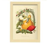 Nacnic Póster de Calabaza. Colección de cocina vintage. Cuadros decorativos para su sala de estar, dormitorio, hogar. Impresión de arte de pared. Tamaños A4 con marcos de madera