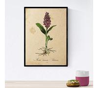 Nacnic Poster de flores vintage. Lámina Aevum Triassicum con diseño vintage. Diseño de botánica para interiores. Tamaño A4 con marco